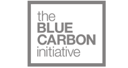 the Blue Carbon Initiative